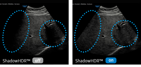 Samsung RS85 ShadowHDR